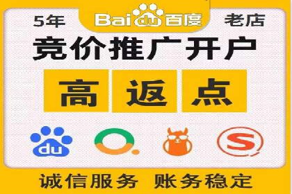 百度推广开户成功案例深度剖析
